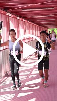 BIB:  <button type="button" onclick="openModal(27538721)" class="btn btn-primary btn-sm float-right" data-toggle="modal" data-target=".modal-high-quality">
                <i class="fa fa-download"></i> Download
                </button>